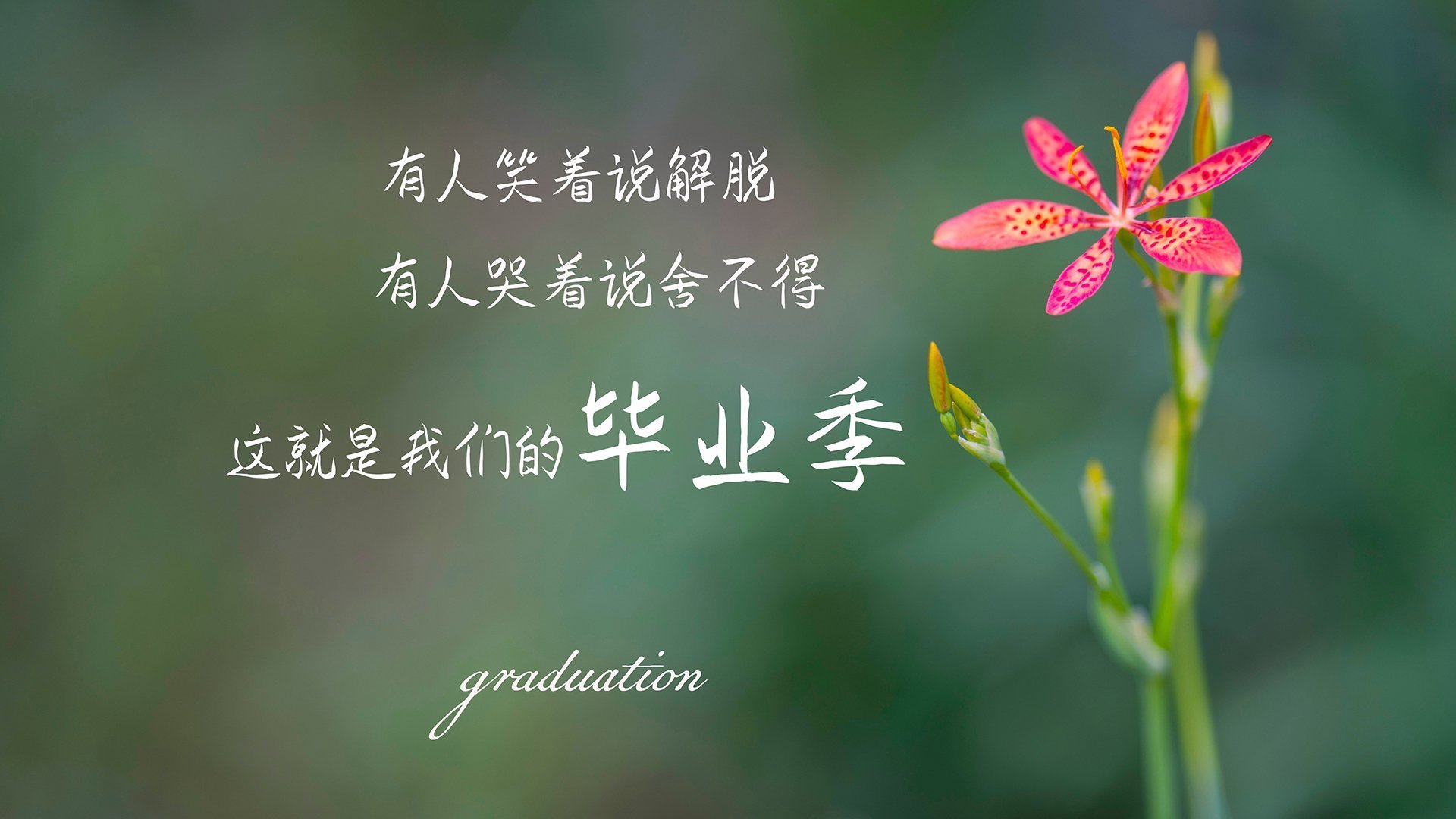 瑞典乒乓球队战术:如何破解强队的进攻套路,瑞典的乒乓球优秀选手